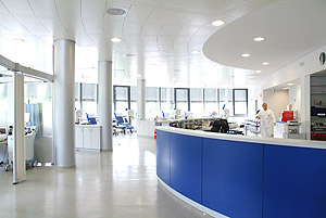 Instituto de Medicina de Transfusión e Inmunología