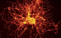 Neuronas comunicándose por sinapsis