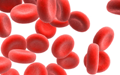 Récord en trasplantes de células madre sanguíneas